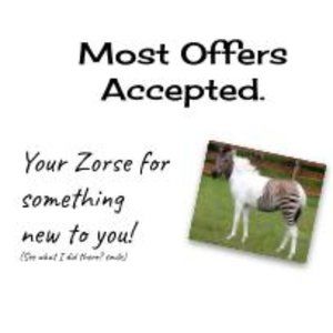 Most Offers Accepted